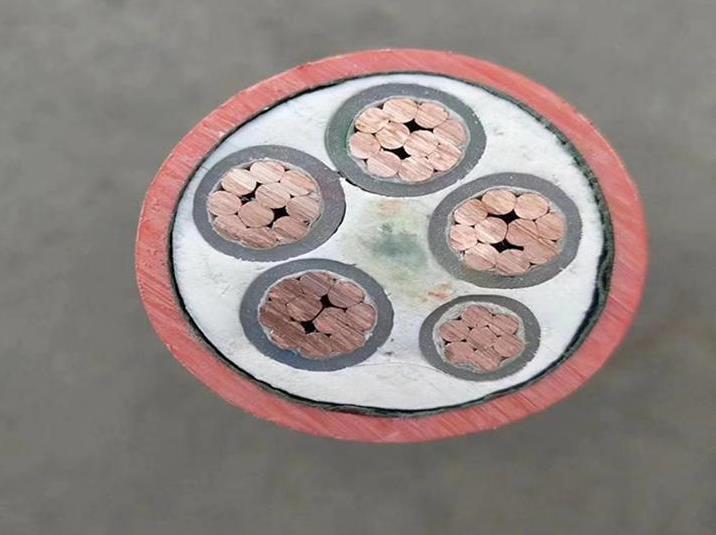 廣州電纜廠礦物質(zhì)絕緣電纜的溫度和用途有什么影響 廣州電纜廠礦物質(zhì)絕緣電纜的溫度和用途有什么影響